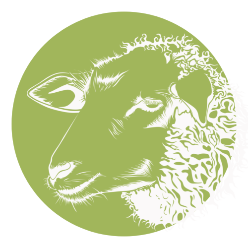 Ovinos_logo (1)